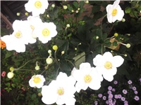 1b74057d-Picture 021.jpg